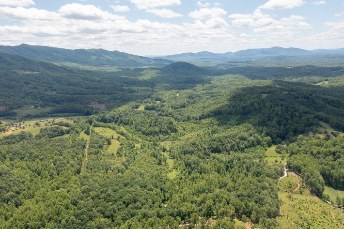Image for BREATHTAKING MOUNTAIN VIEWS: Blue Ridge Estate Auction - 158-Acre Farm & Building Lot - Amherst, VA