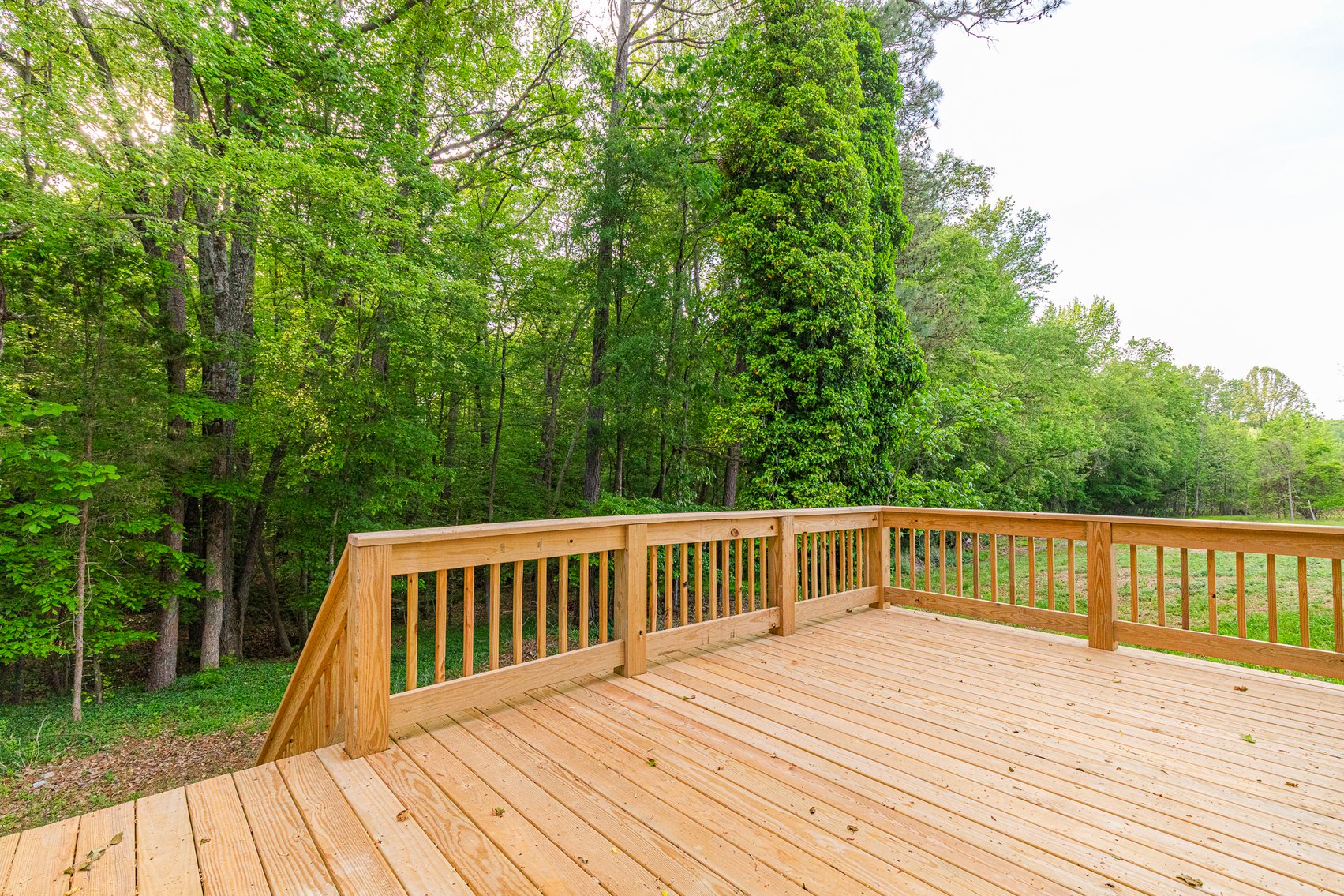 Image for Finance-Friendly Auction: Exceptional 5BR/3BA Ranch on 12+ Private Acres in Hanover High School District - 11517 Mount Hermon Rd. Ashland VA