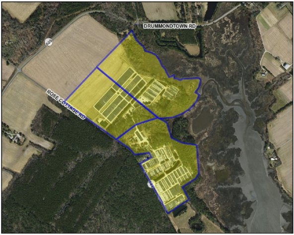 Image for Eastern Shore Farm Auction - 33 to 92 Acres - Creek Frontage, Hunting Land, Hobby Farm & Commercial Nursery - Virginia