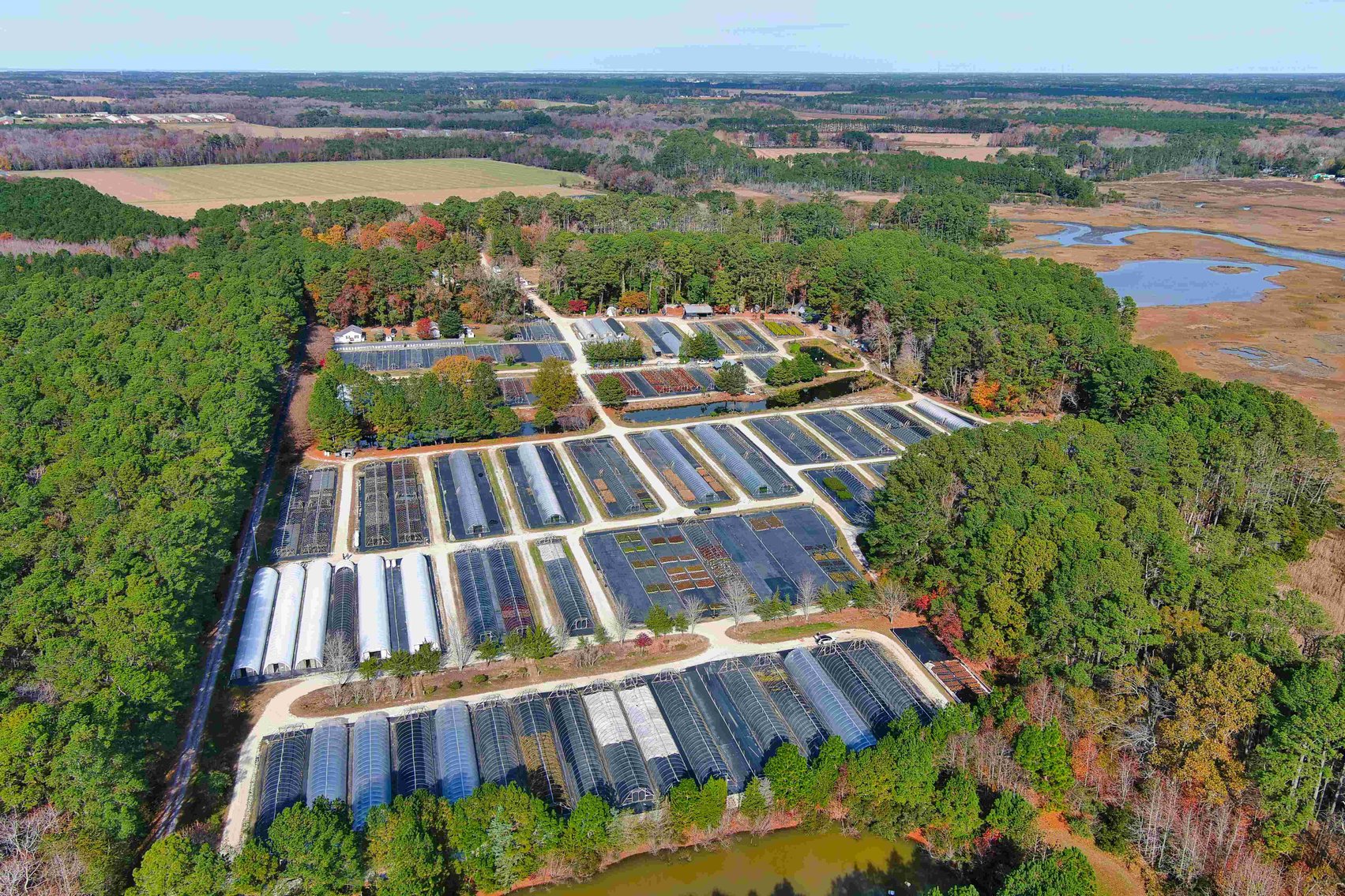 Image for Eastern Shore Farm Auction - 33 to 92 Acres - Creek Frontage, Hunting Land, Hobby Farm & Commercial Nursery - Virginia