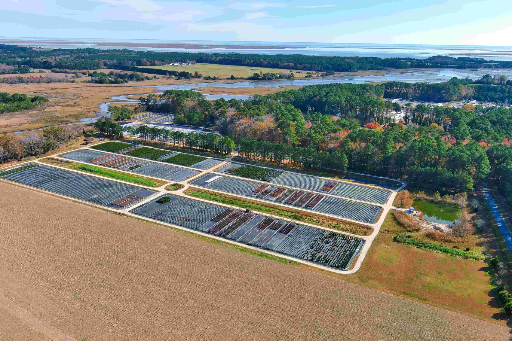 Image for Eastern Shore Farm Auction - 33 to 92 Acres - Creek Frontage, Hunting Land, Hobby Farm & Commercial Nursery - Virginia