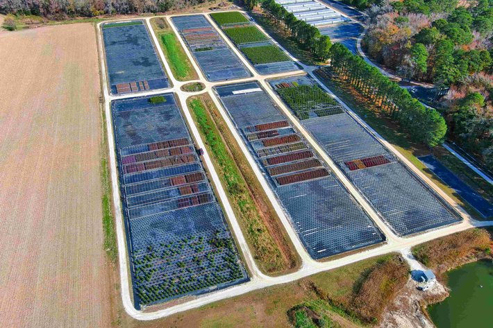 Image for Eastern Shore Farm Auction - 33 to 92 Acres - Creek Frontage, Hunting Land, Hobby Farm & Commercial Nursery - Virginia