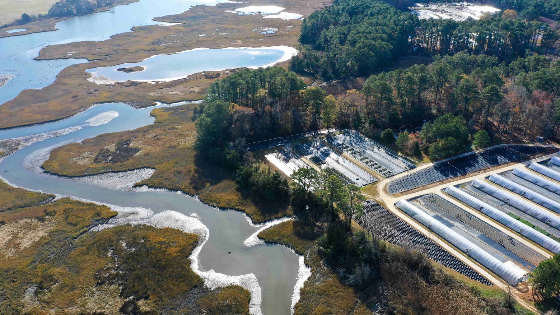 Image for Eastern Shore Farm Auction - 33 to 92 Acres - Creek Frontage, Hunting Land, Hobby Farm & Commercial Nursery - Virginia