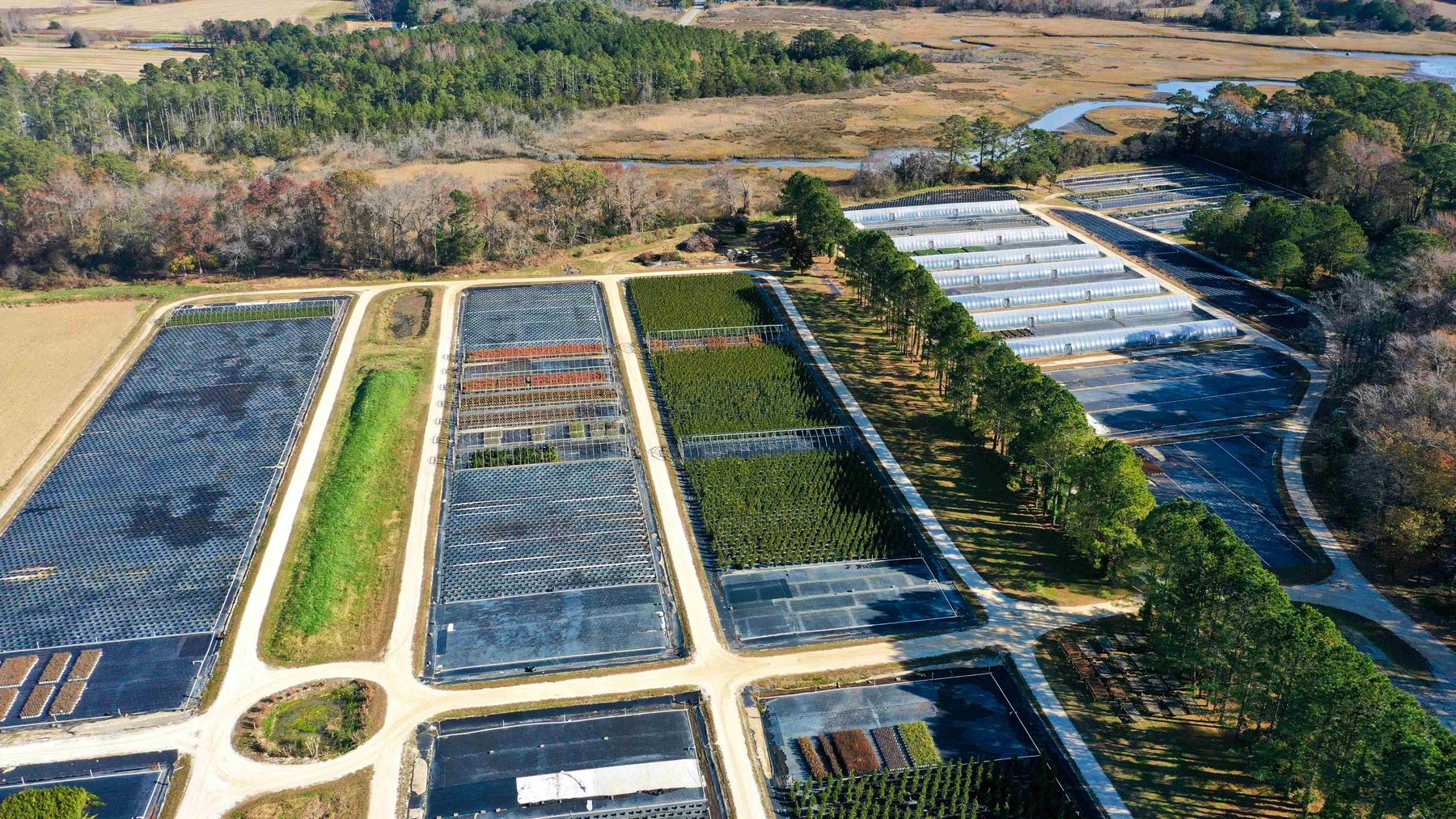 Image for Eastern Shore Farm Auction - 33 to 92 Acres - Creek Frontage, Hunting Land, Hobby Farm & Commercial Nursery - Virginia