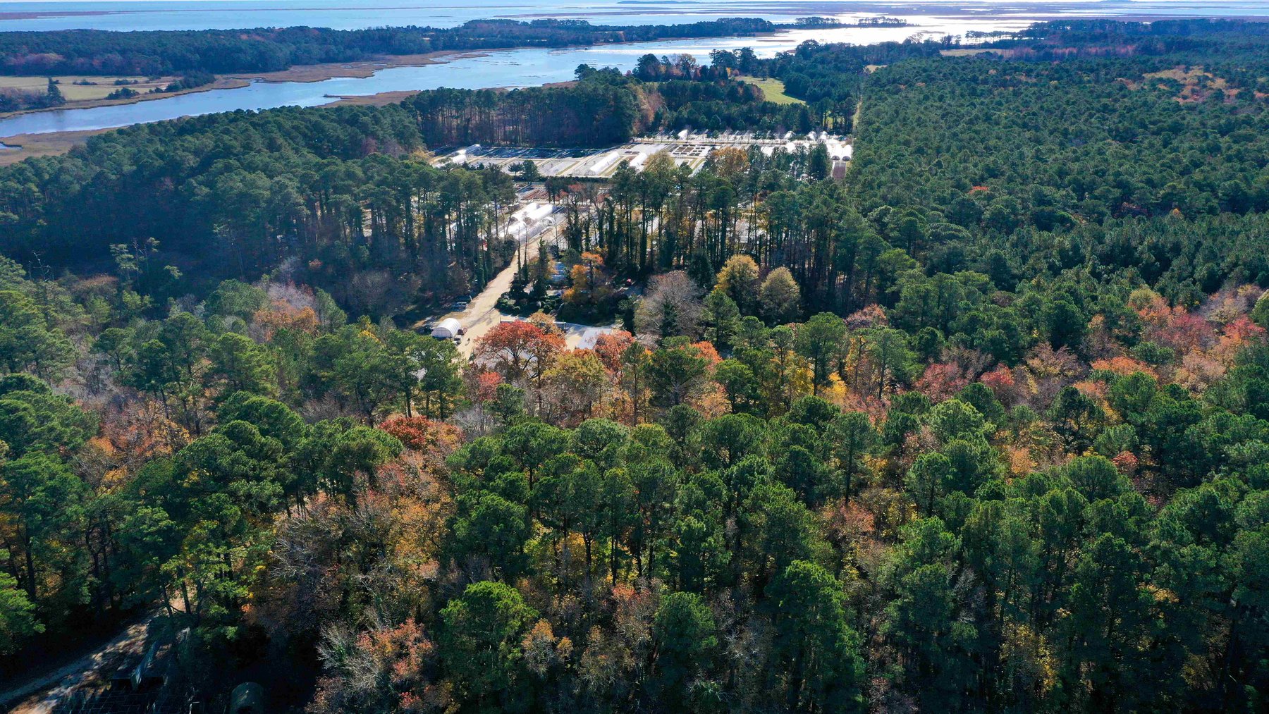 Image for Eastern Shore Farm Auction - 33 to 92 Acres - Creek Frontage, Hunting Land, Hobby Farm & Commercial Nursery - Virginia