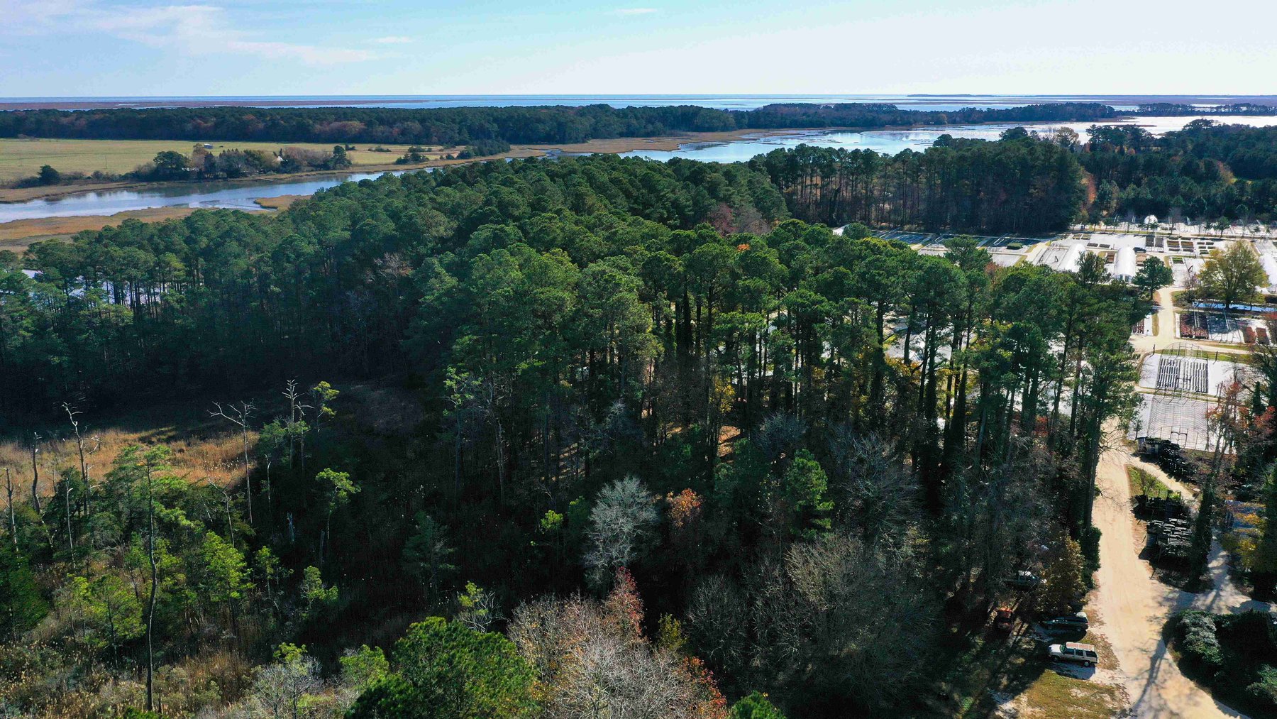 Image for Eastern Shore Farm Auction - 33 to 92 Acres - Creek Frontage, Hunting Land, Hobby Farm & Commercial Nursery - Virginia