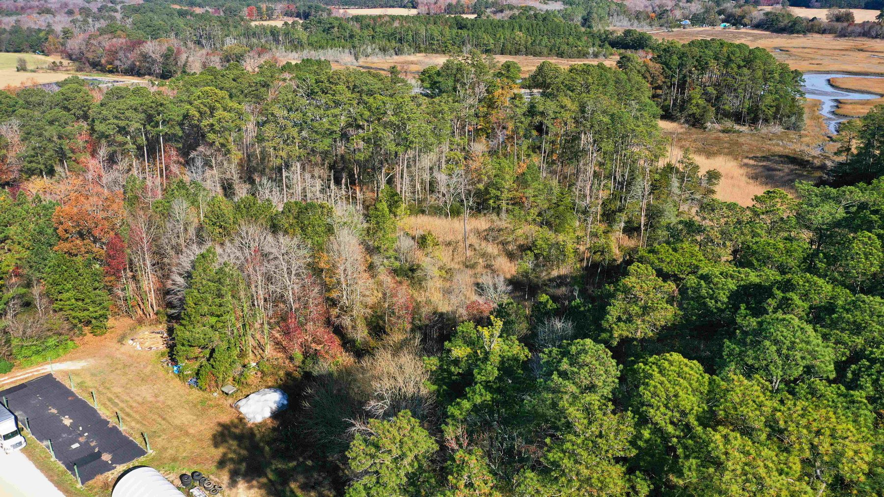 Image for Eastern Shore Farm Auction - 33 to 92 Acres - Creek Frontage, Hunting Land, Hobby Farm & Commercial Nursery - Virginia