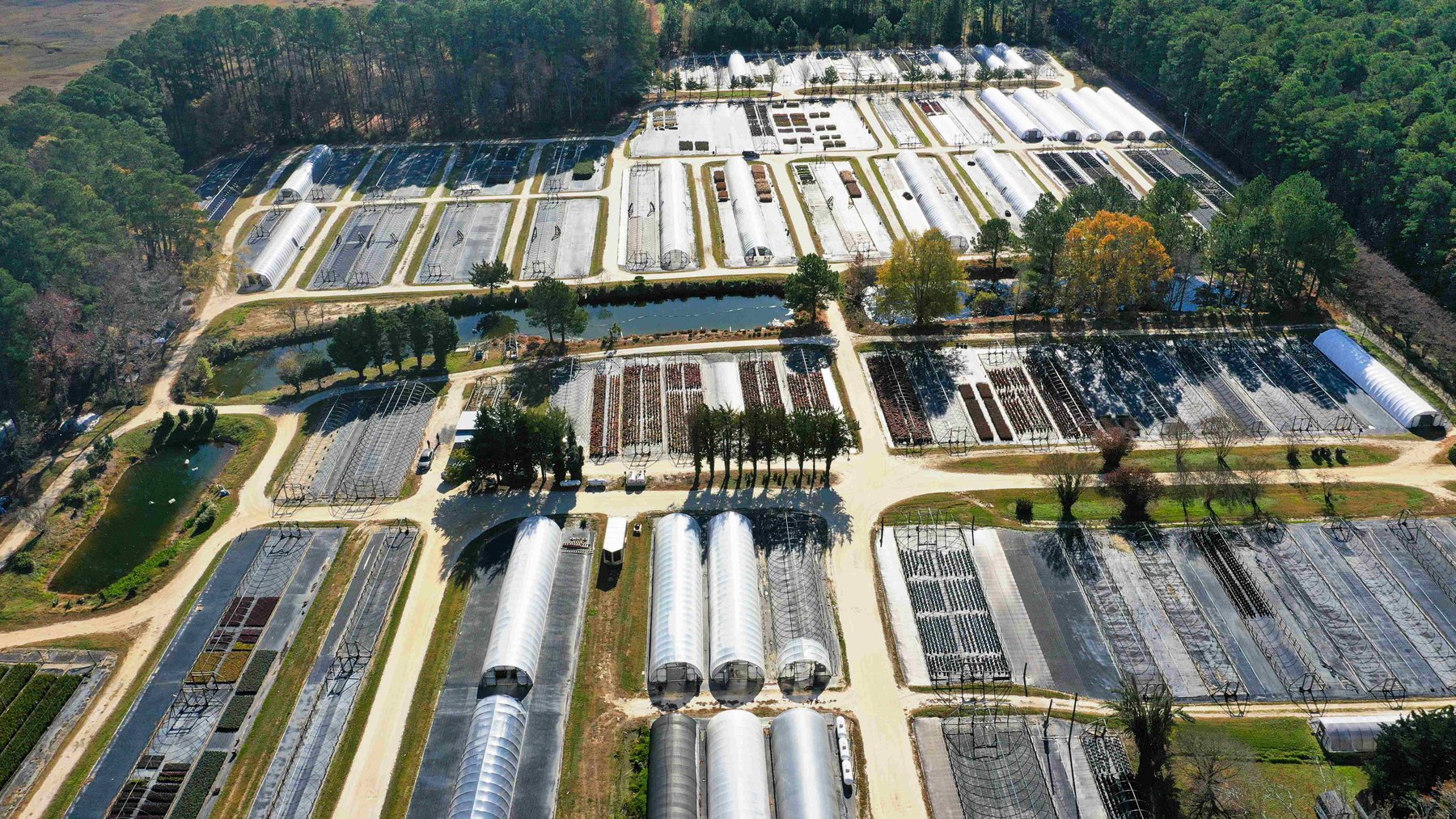 Image for Eastern Shore Farm Auction - 33 to 92 Acres - Creek Frontage, Hunting Land, Hobby Farm & Commercial Nursery - Virginia