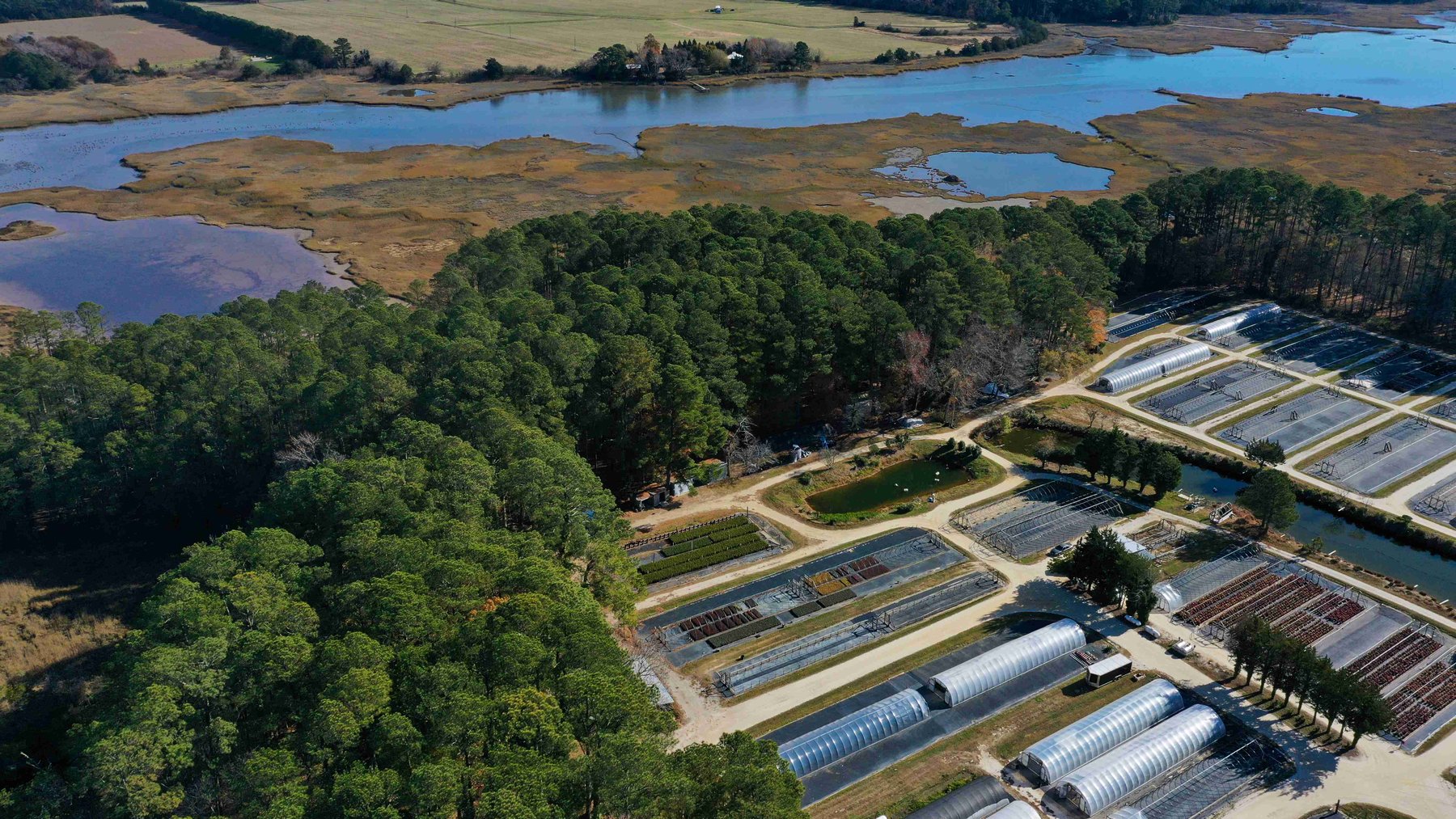 Image for Eastern Shore Farm Auction - 33 to 92 Acres - Creek Frontage, Hunting Land, Hobby Farm & Commercial Nursery - Virginia