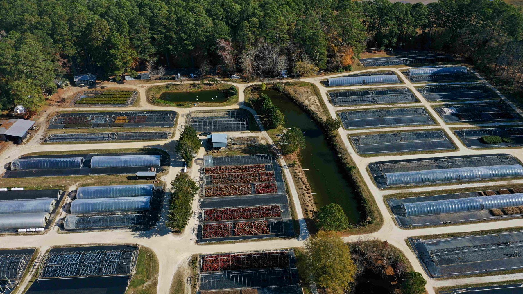 Image for Eastern Shore Farm Auction - 33 to 92 Acres - Creek Frontage, Hunting Land, Hobby Farm & Commercial Nursery - Virginia