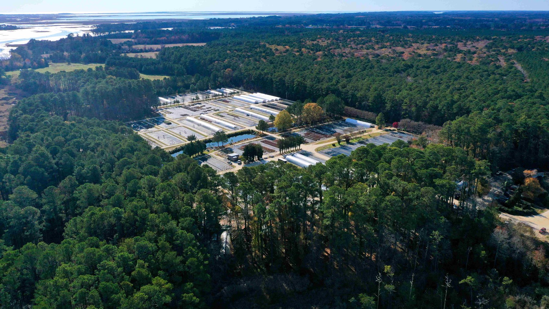 Image for Eastern Shore Farm Auction - 33 to 92 Acres - Creek Frontage, Hunting Land, Hobby Farm & Commercial Nursery - Virginia