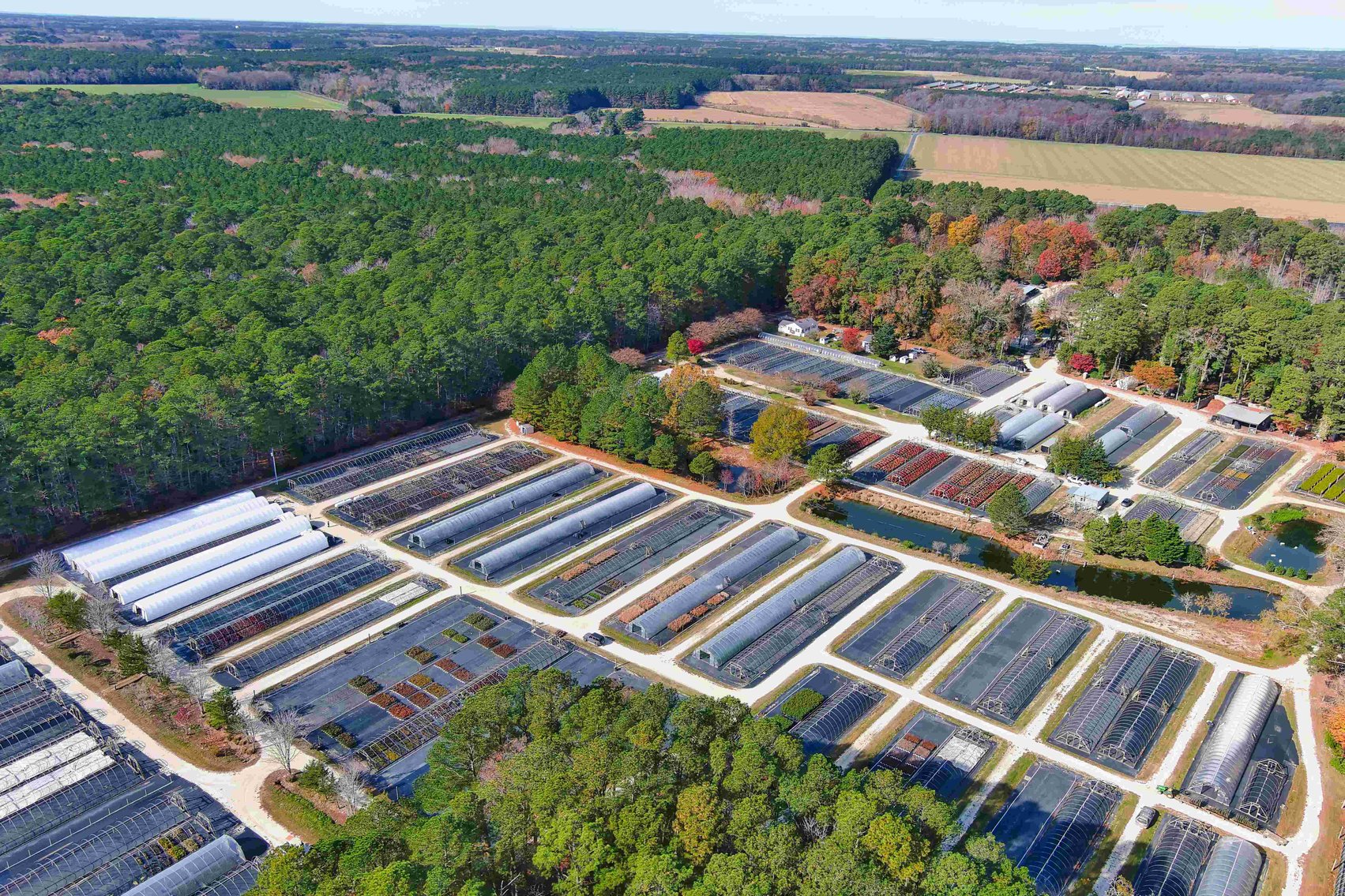 Image for Eastern Shore Farm Auction - 33 to 92 Acres - Creek Frontage, Hunting Land, Hobby Farm & Commercial Nursery - Virginia