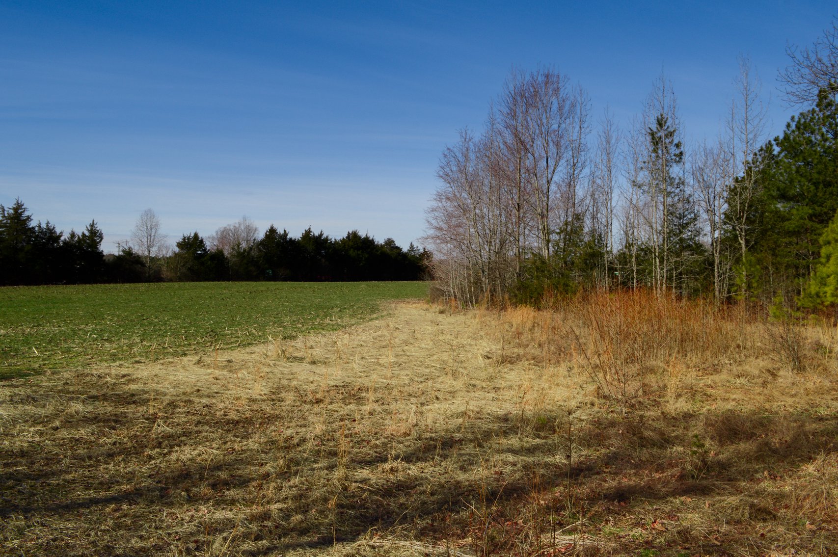 Image for Powhatan VA - US 60 W & 522 Maidens Rd - Prime Commercial Corner - 13.9 Acres — Buy Now, Build Later, Earn in the Meantime