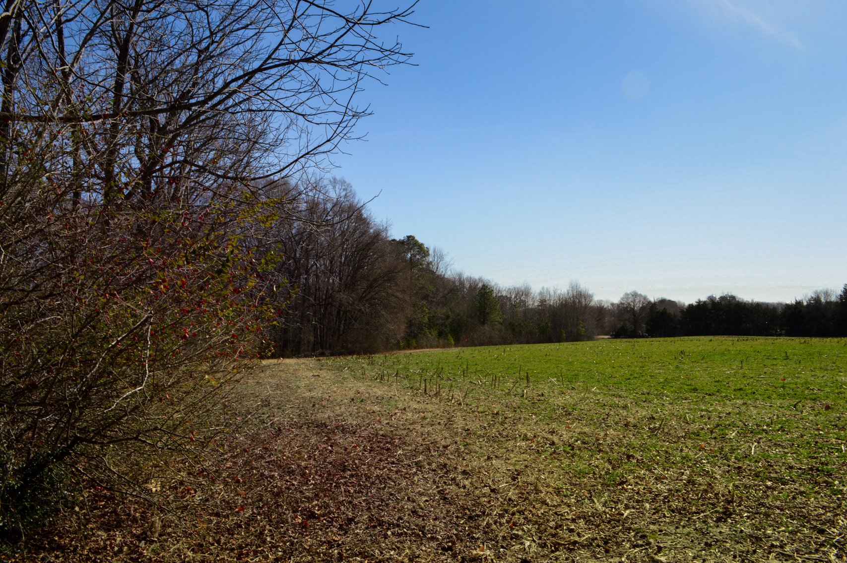 Image for Powhatan VA - US 60 W & 522 Maidens Rd - Prime Commercial Corner - 13.9 Acres — Buy Now, Build Later, Earn in the Meantime