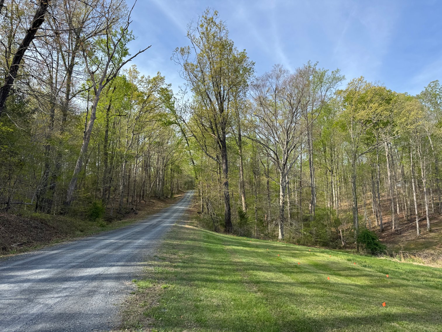 Image for Cumberland, VA | 8-acre Parcel on Route 711 - 4 of 4