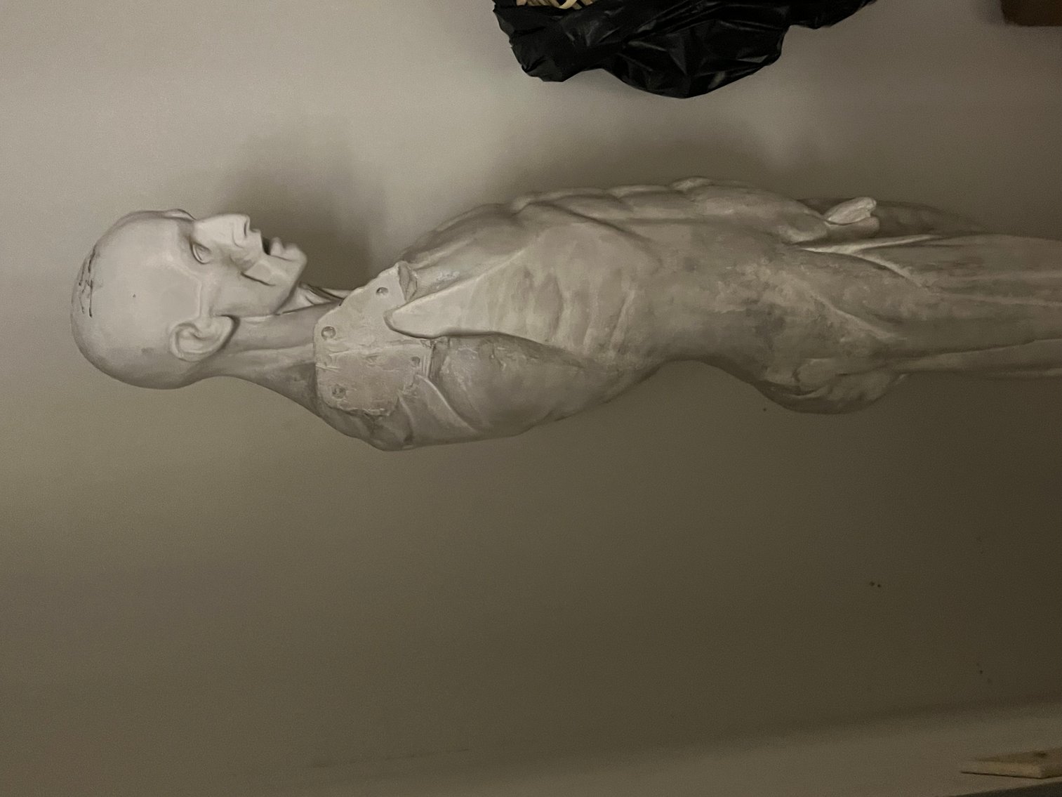 Image for School of Design/ Media Arts/Fashion Liquidation Formerly Art Institute of Dallas