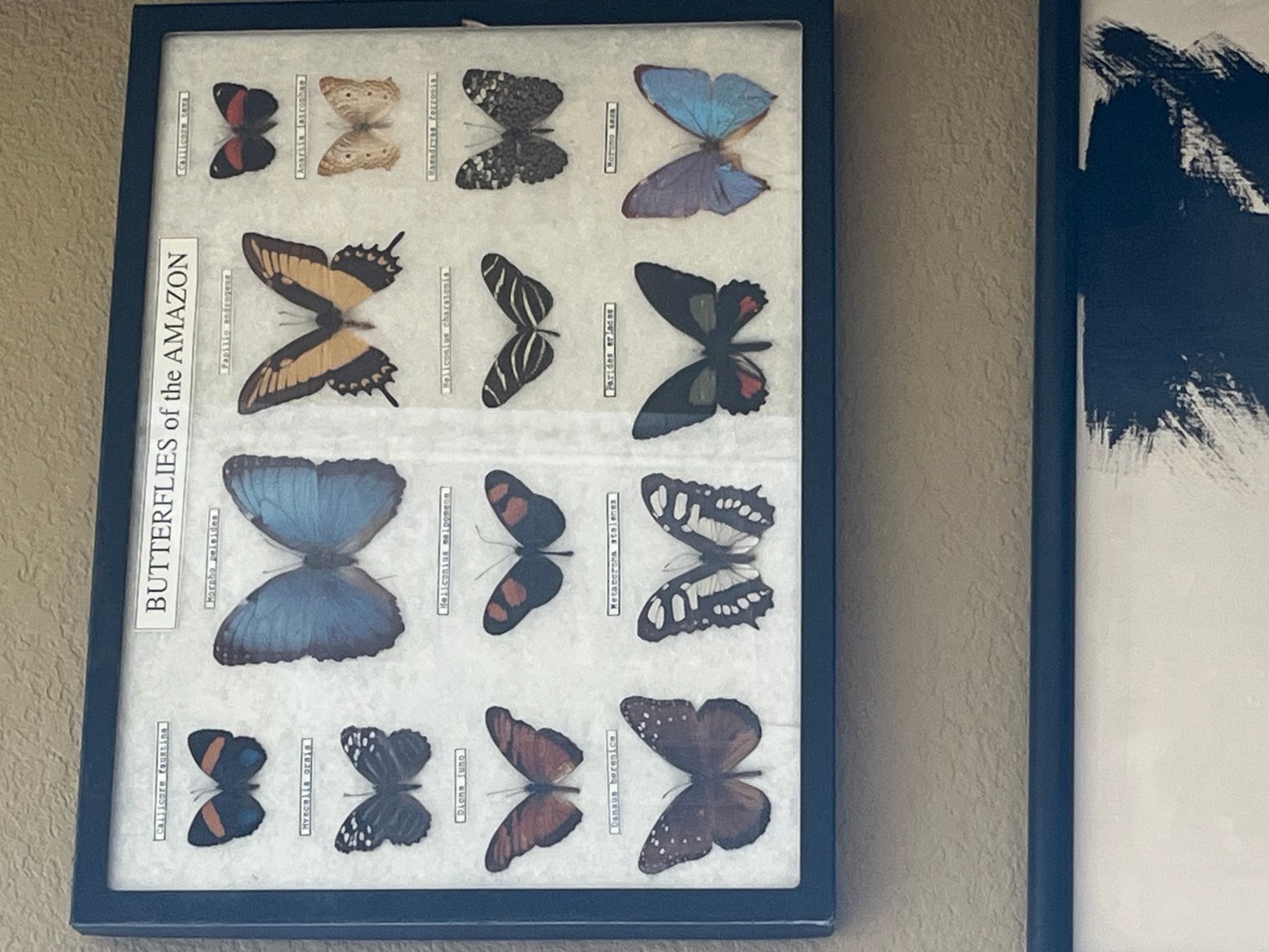 Image for Exquisite Online Estate Auction