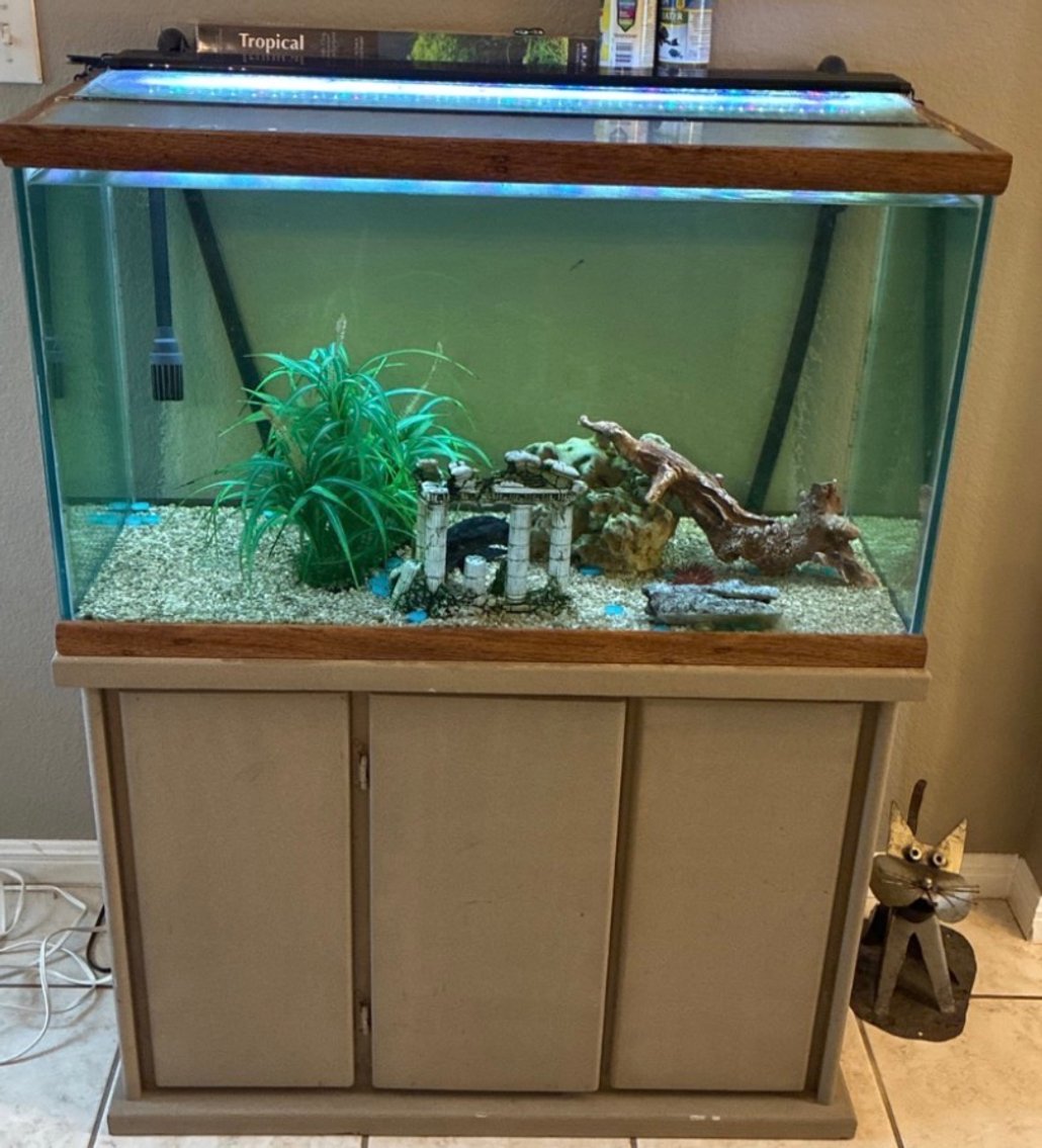 Image for Peterson Estate - Cedar Park, TX