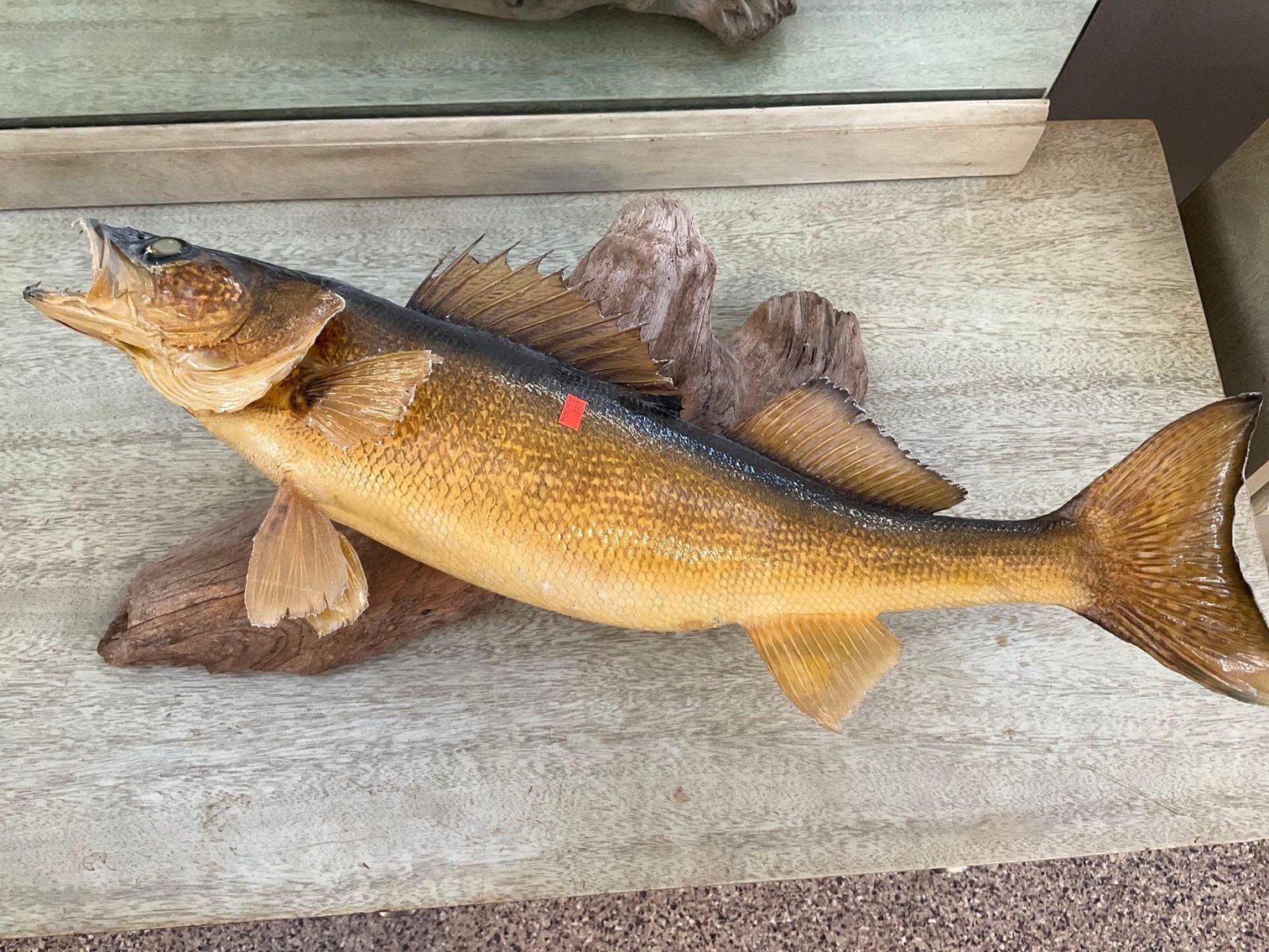 Image for Furniture, coins, collectibles, household-Main office back