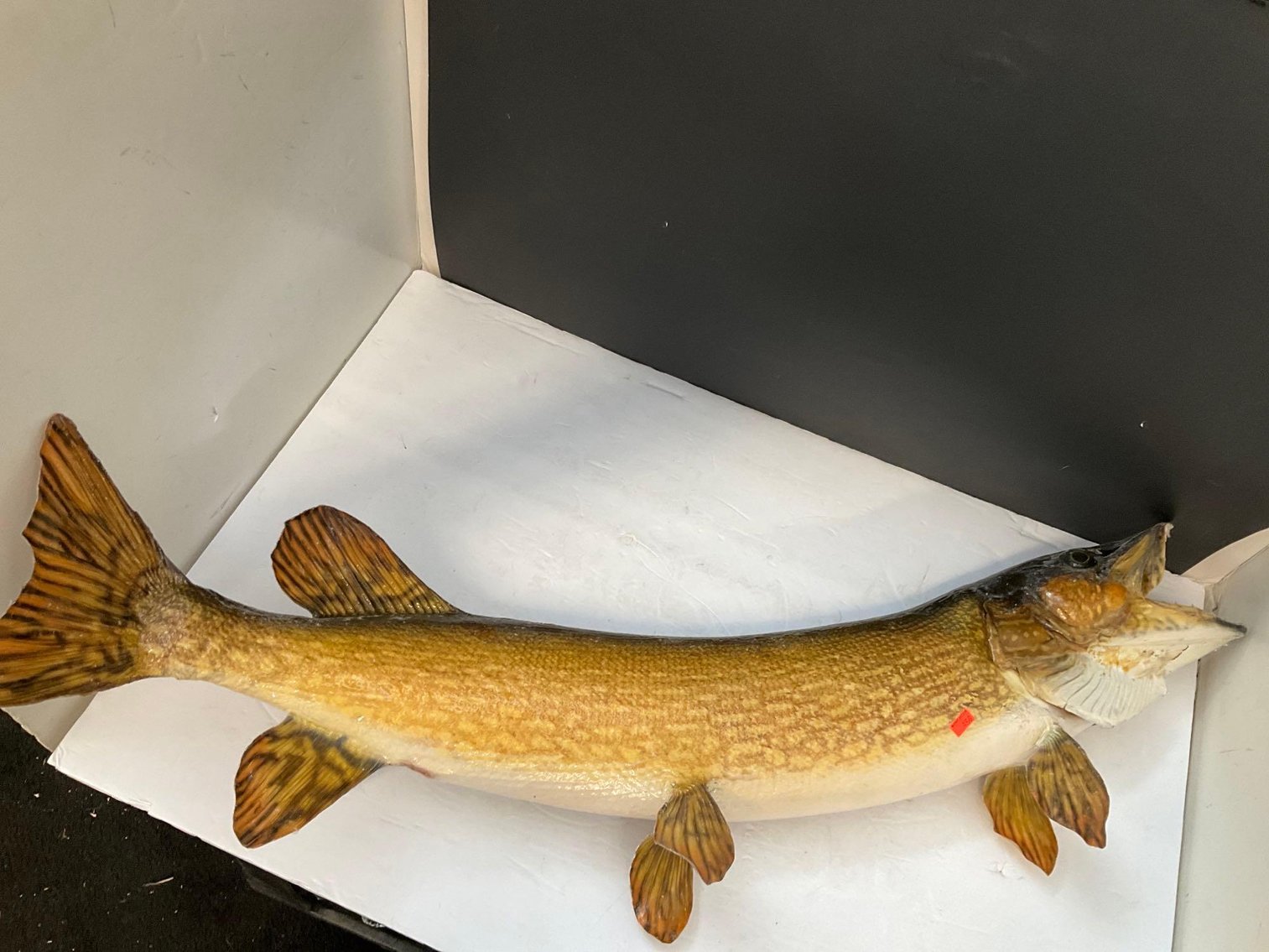 Image for Furniture, coins, collectibles, household-Main office back