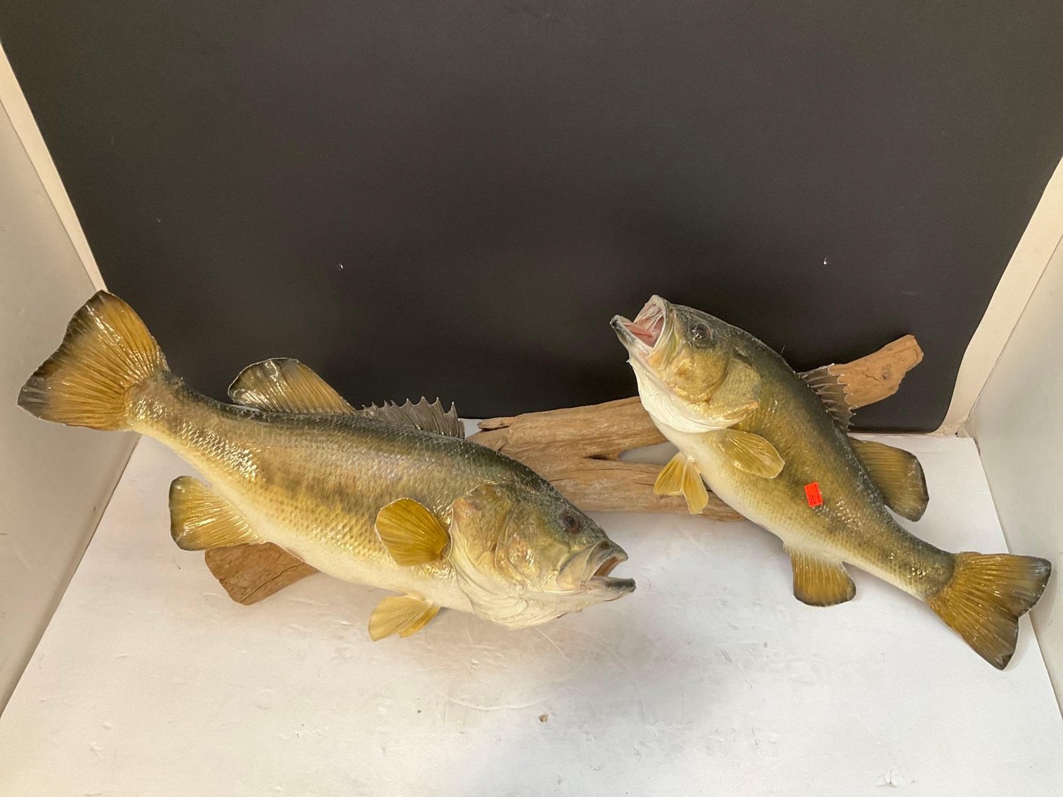 Image for Furniture, coins, collectibles, household-Main office back