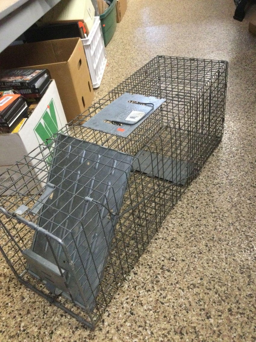 Image for Furniture, collectibles, household-Main office back