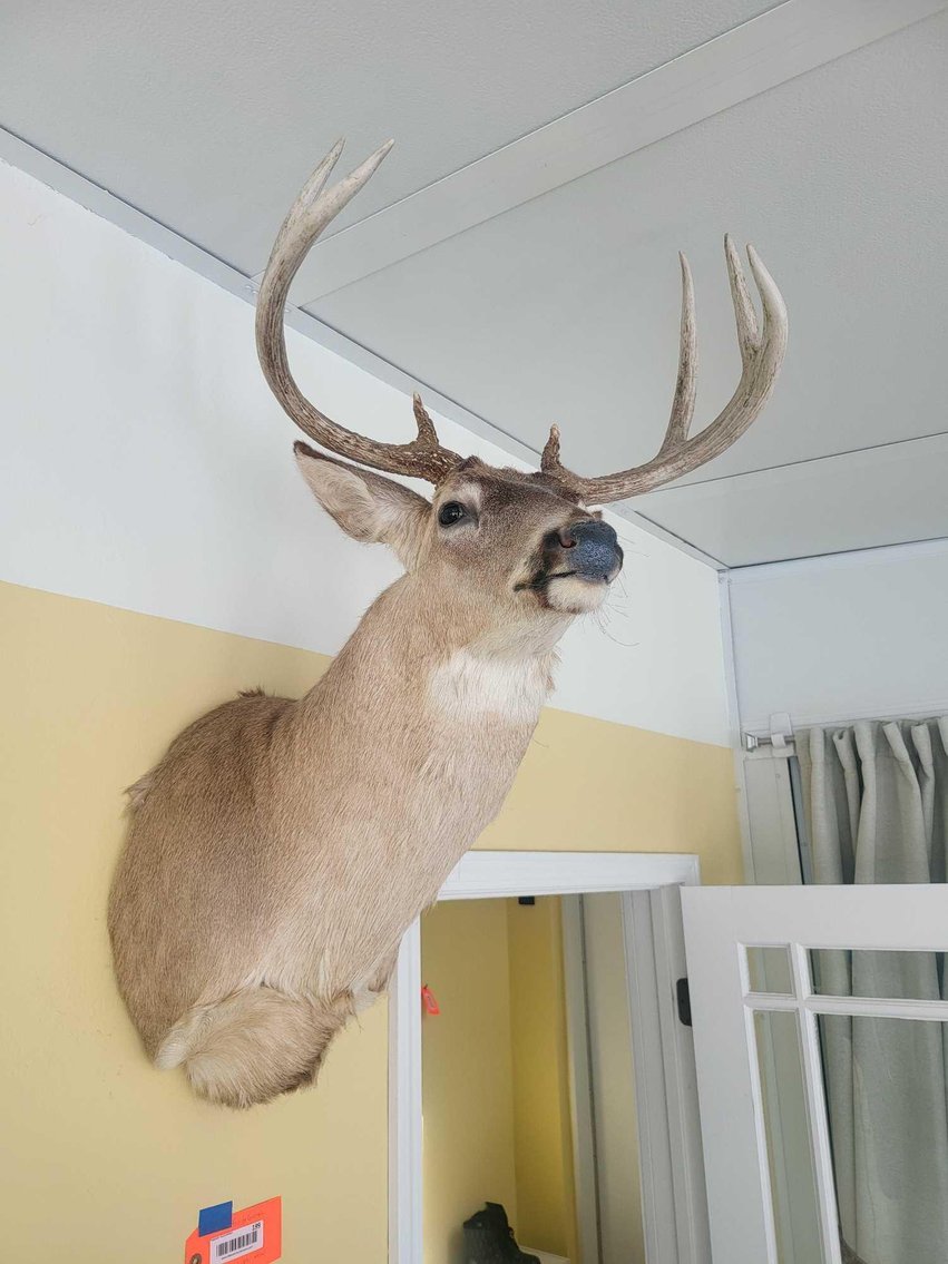 Image for Furniture, collectibles, household-Greenwald St