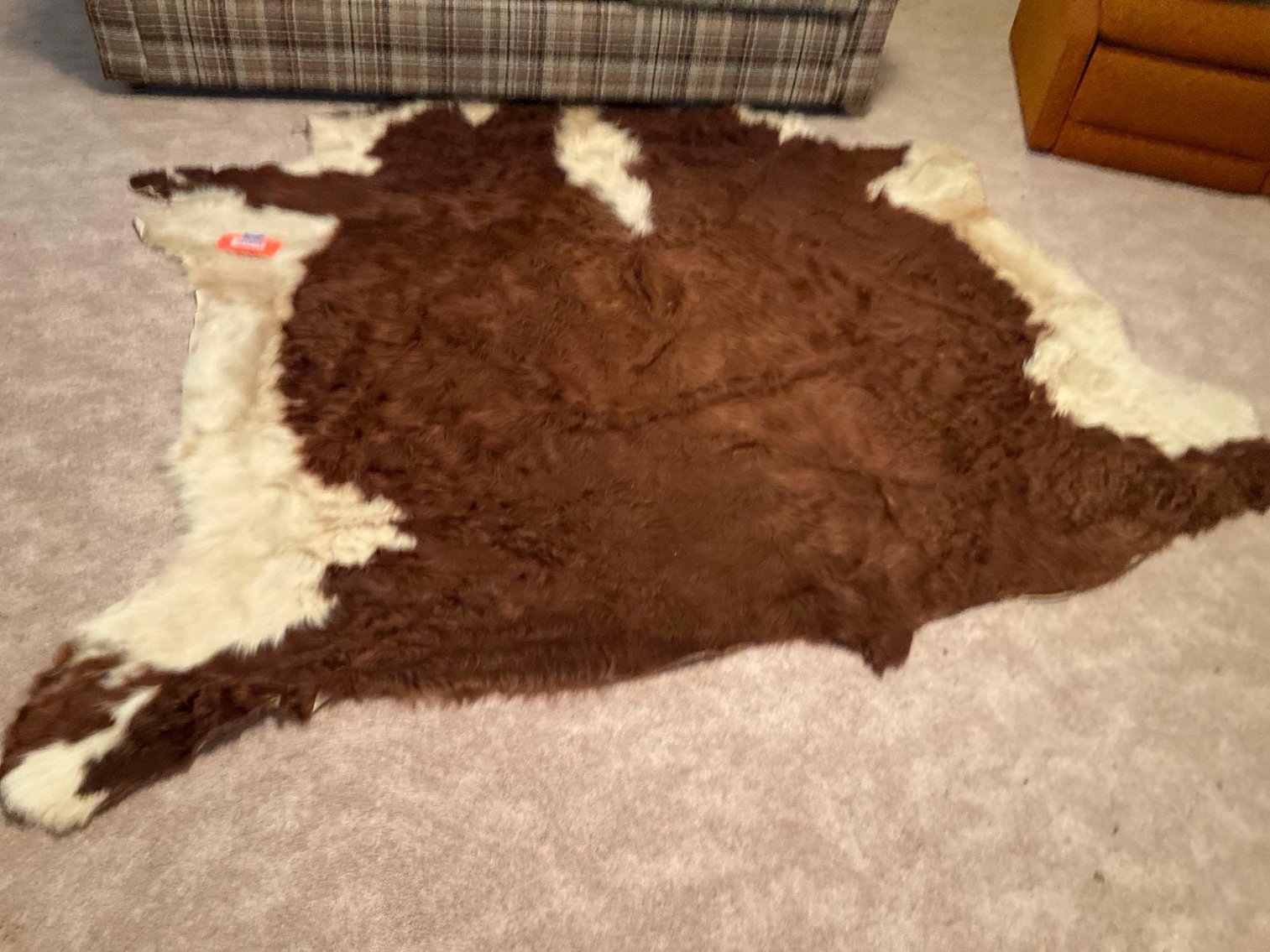 Image for Furniture, collectibles, household-Beethoven