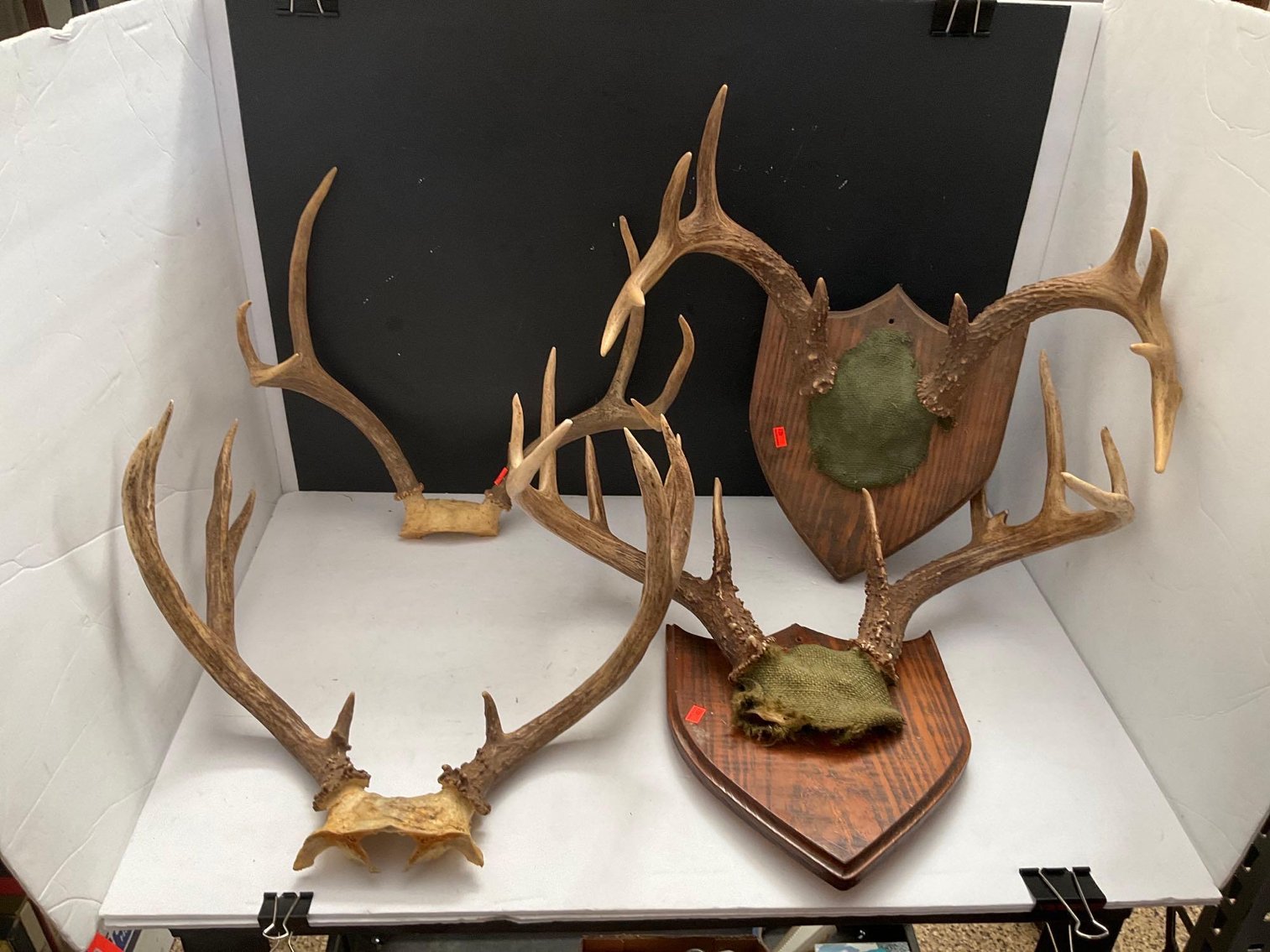 Image for Furniture, collectibles, household-Main back