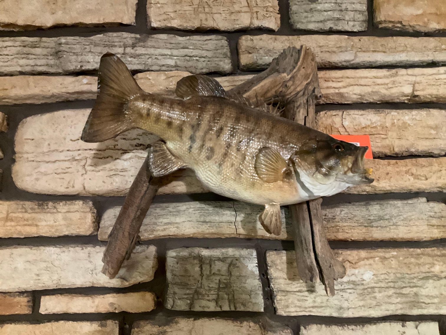 Image for Furniture, collectibles, household-Ellison Bay