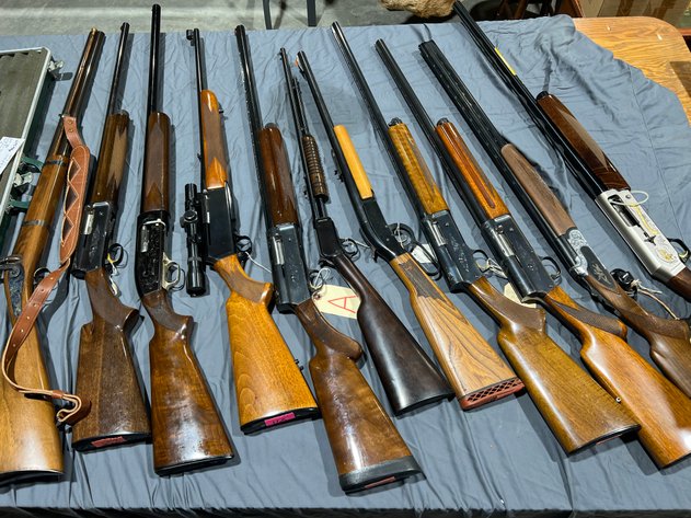 Firearm Collection