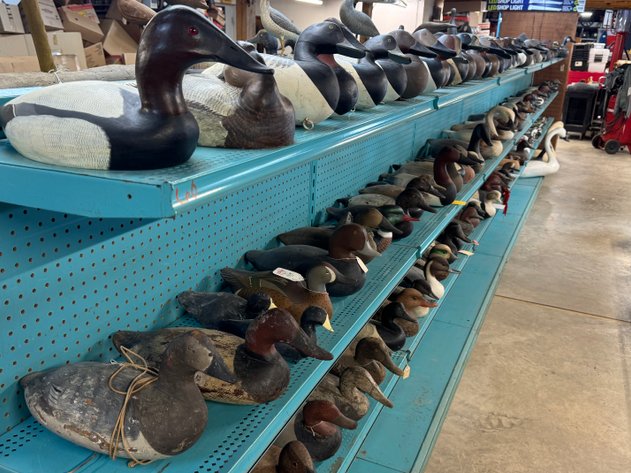 Image for UPPER BAY DECOY AUCTION - COMING SOON