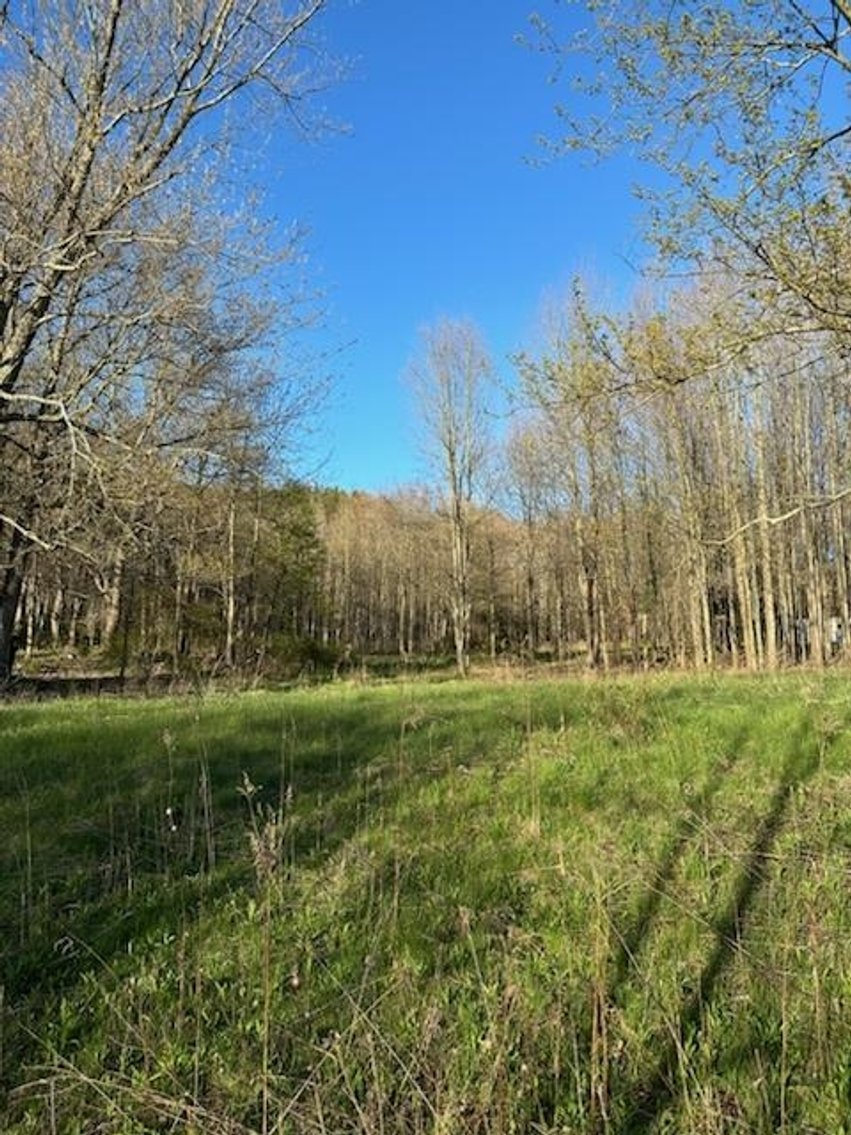 Image for 11919 Gowanda State Rd. North Collins, NY 14111