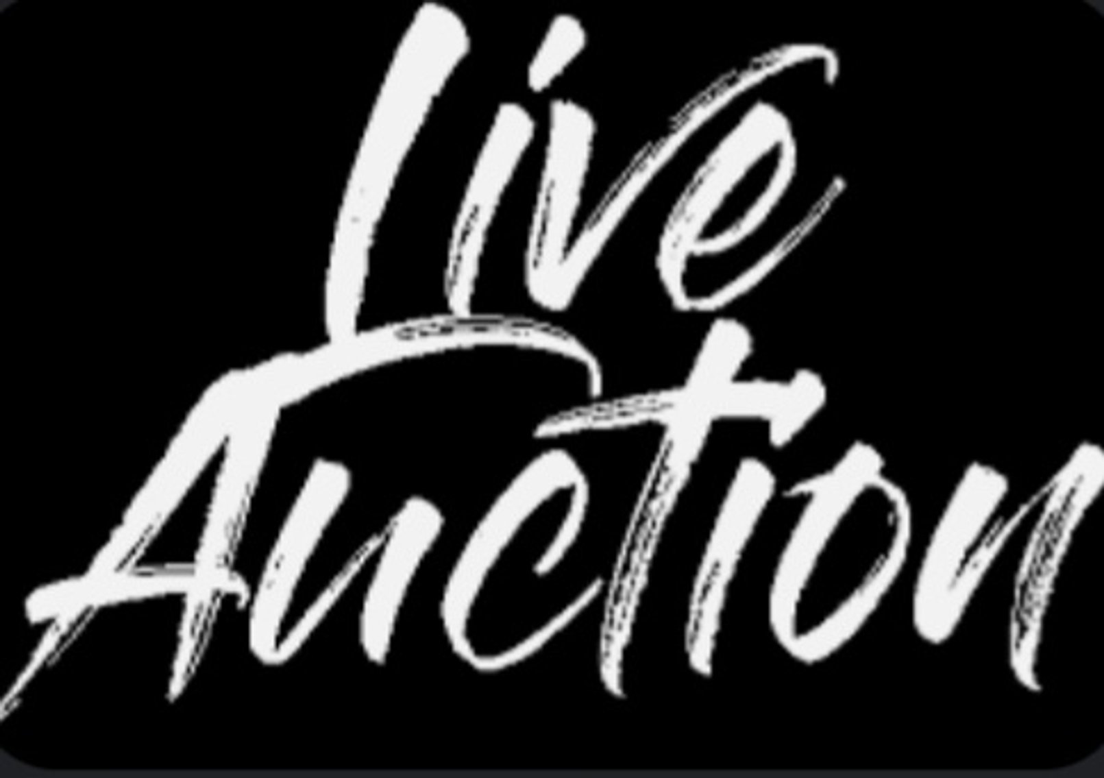 Image for LIVE AUCTION DECEMBER 8TH @ 1PM