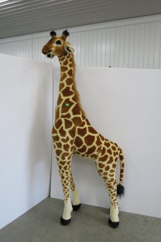 Image for Cold Springs Gallery #2029