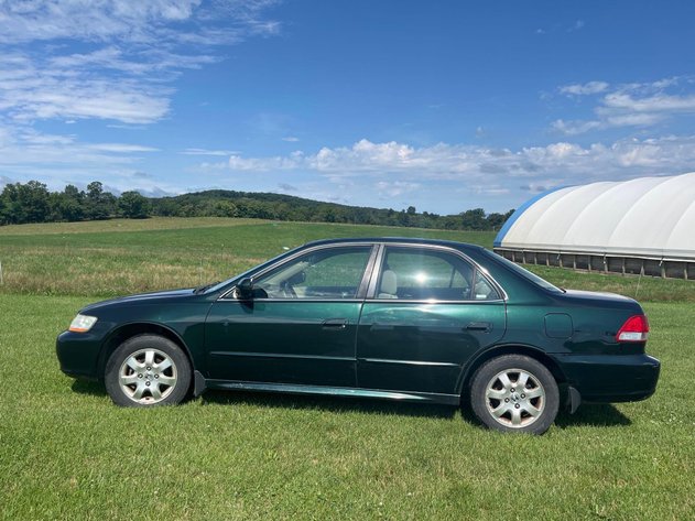 Image for Tinkling Springs Gallery #129