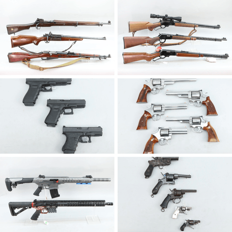 Image for Firearms - January 2024