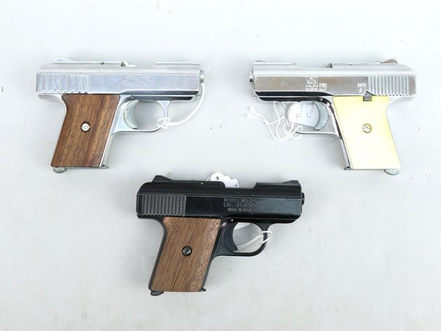 Image for Firearms - January 2024