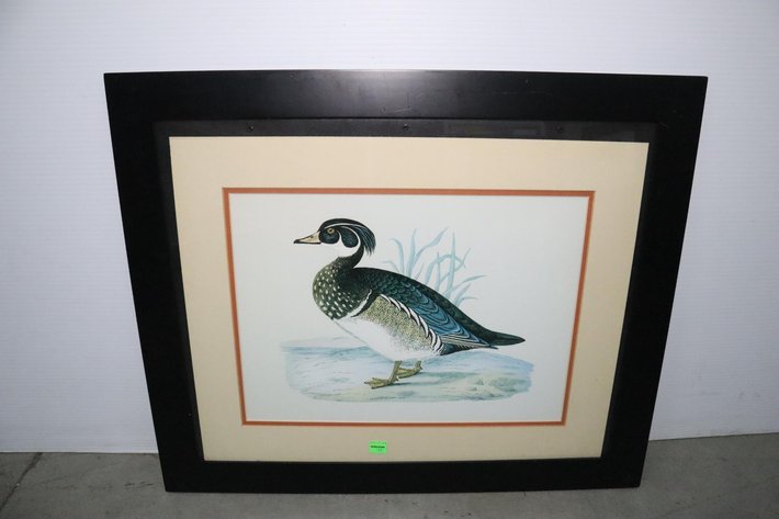 Image for Cold Springs Gallery #2054