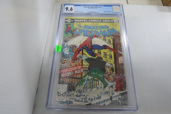 Image for Hidden Treasures Gallery #3054