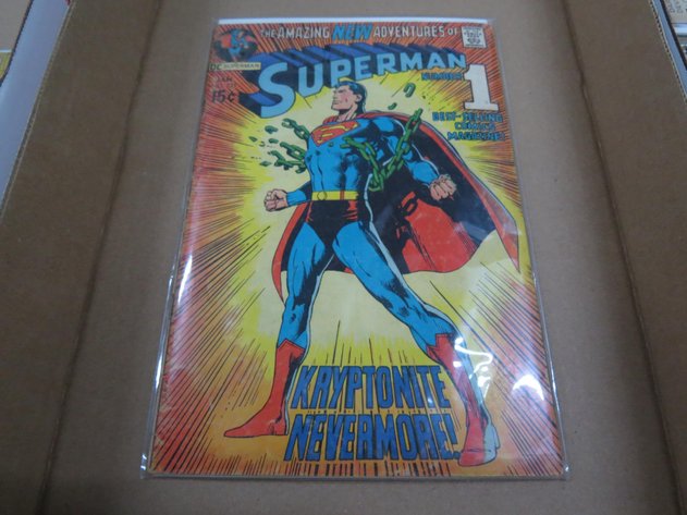 Image for Hidden Treasures Gallery #3063