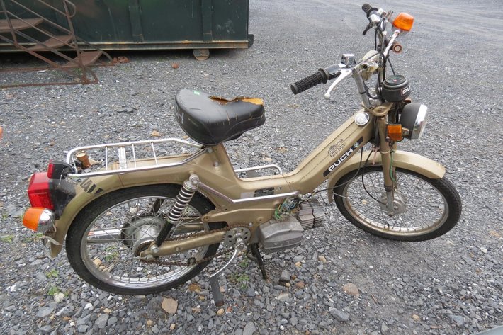 Image for Hidden Treasures Gallery #3063