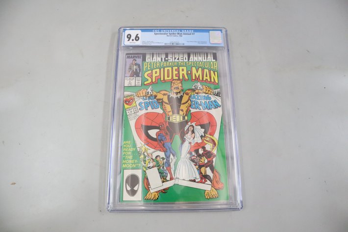 Image for Hidden Treasure Gallery #3072