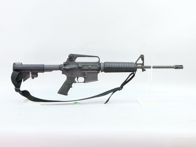 Image for Firearms - June 2024