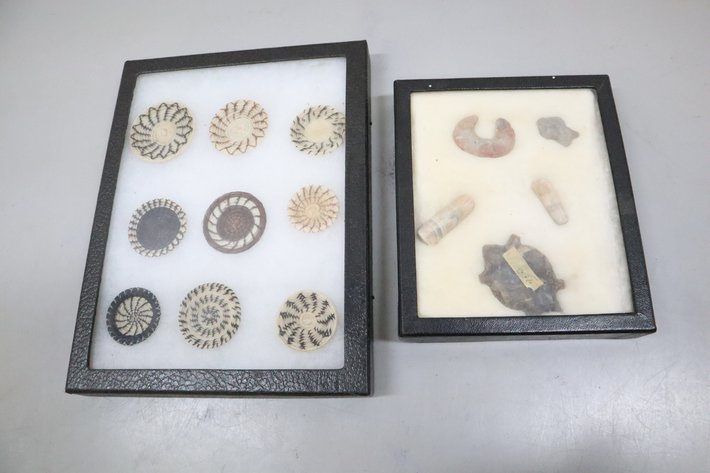 Image for Tinkling Spring Gallery #171