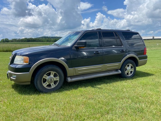 Image for Tinkling Spring Gallery #173