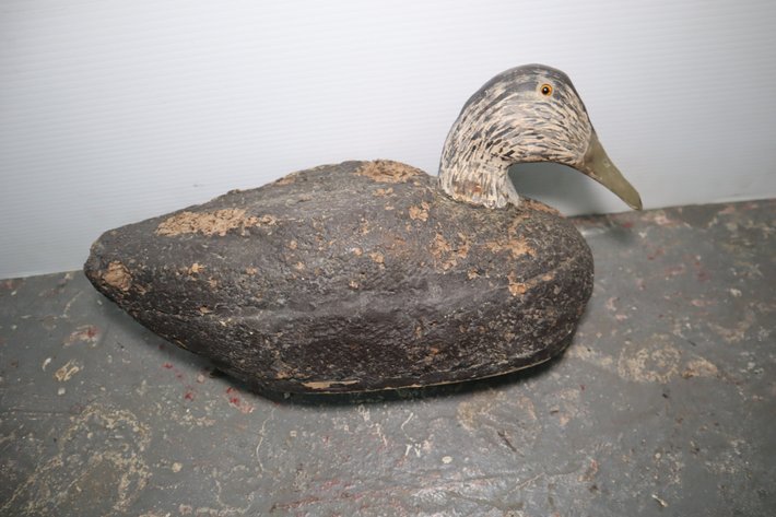 Image for Hidden Treasures Gallery #3087