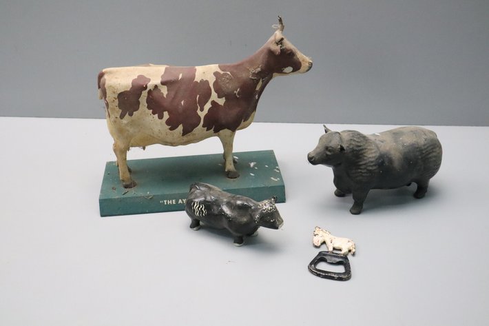 Image for Cold Springs Gallery #4154