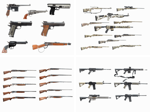 Image for Firearms - January 2026