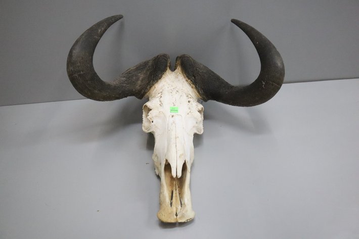 Image for Blue Ridge Gallery #1158